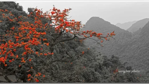 Pagoda do Perfume (Chua Huong)