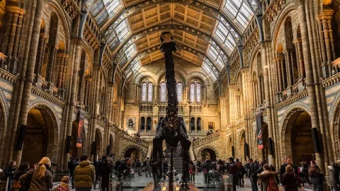 Museu Nacional de História Natural