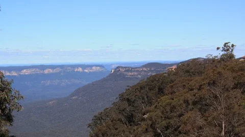 Leura