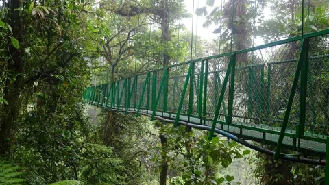 Parque Selvatura