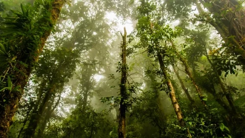 Reserva Bosque Nuboso Santa Elena