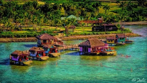 Amber Cove