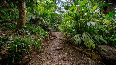 Jardim do Gigante Adormecido