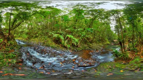 Parque Florestal Colo-i-Suva