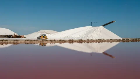 Salin d’Aigues-Mortes