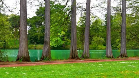 Parque Tête d'Or (Parc de la Tête d'Or)