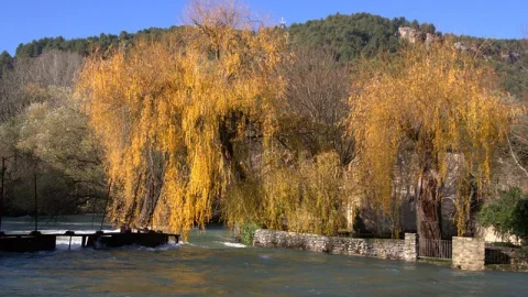 Fonte de Vaucluse