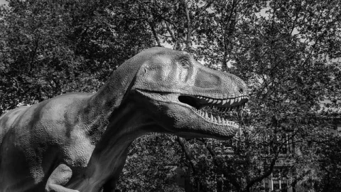 Museu de História Natural Senckenberg