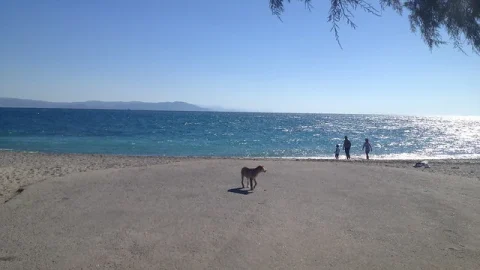 Praia de Lambi