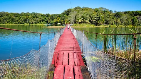 Floresta de Petén
