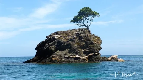 Cayos Cochinos