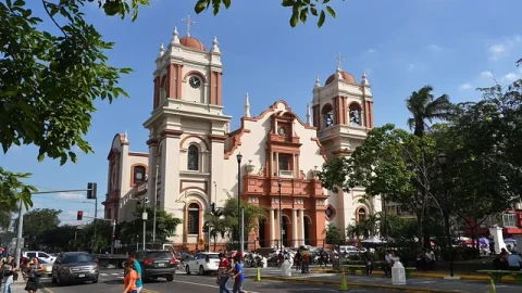 Catedral Metropolitana São Pedro Apóstolo
