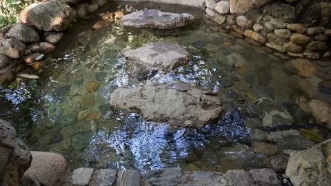Águas Termais Luna Jaguar