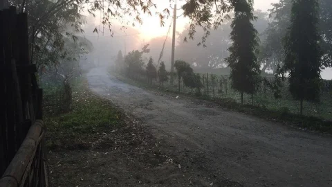 Santuário de Vida Selvagem de Pobitora