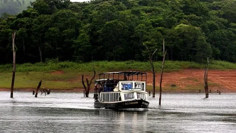 Santuário de Vida Selvagem Periyar