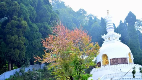 Pagode da Paz Japonesa