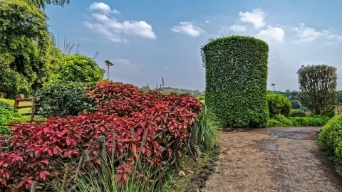 Jardim da Amizade Pune-Okayama