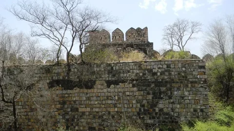 Forte de Alwar (Bala Quila)