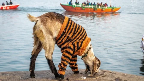 Ghats de Varanasi