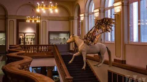 Museu Geologi