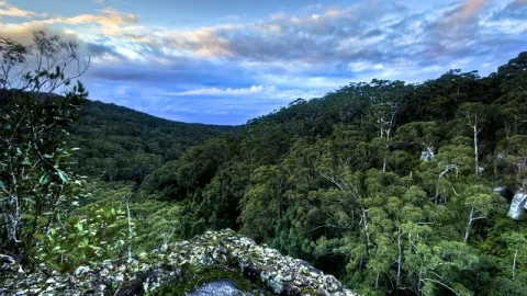 Parque de Conservação Kelly Hill