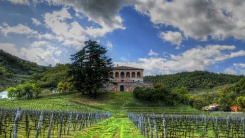 Villa dei Vescovi