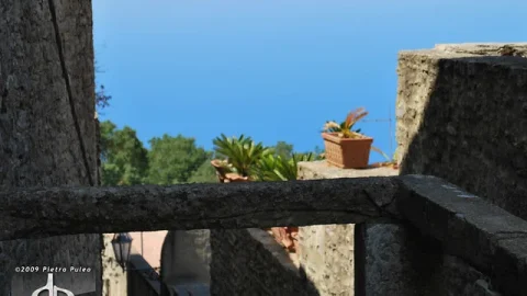 Erice