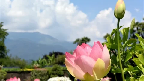 Jardins da Villa Taranto (Giardini Botanici Villa Taranto)