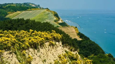 Parco Naturale Monte San Bartolo