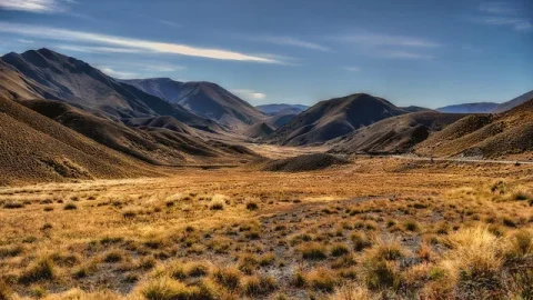 The Pass