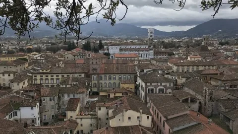 Torre Guinigi