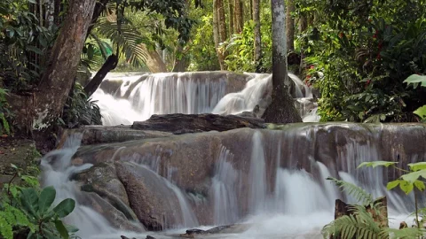 Cachoeira Dunn's River