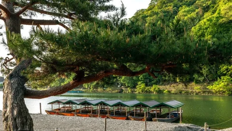 Parque Arashiyama