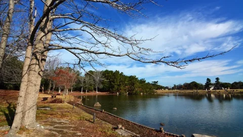 Parque à Beira-Mar Uminonakamichi