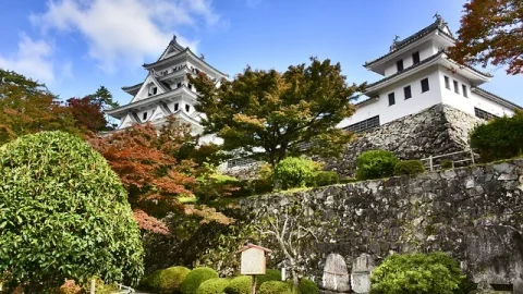 Castelo de Gifu