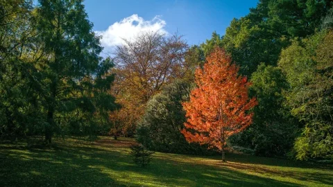 Monte Macedon