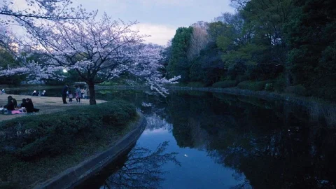 Parque Kitanomaru (Kitanomaru Koen)