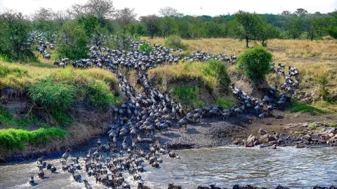 Rio Mara