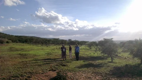Conservação Maasai Nashulai