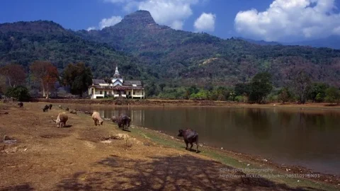 Vat Phou (Wat Phu)