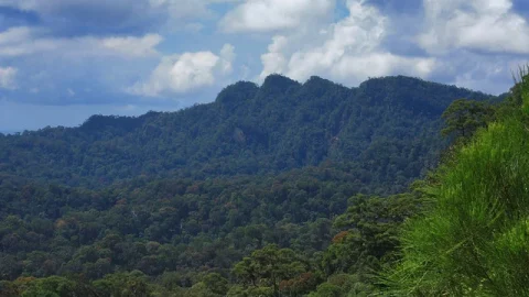 Parque Nacional Lambir Hills