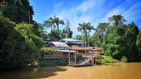 Parque Nacional de Niah