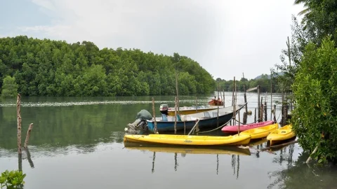 Rio Cherating (Sungai Cherating)