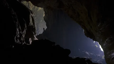 Caverna Deer