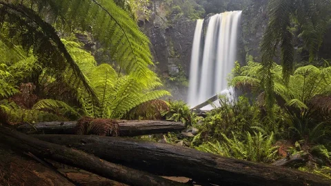 Great Otway National Park
