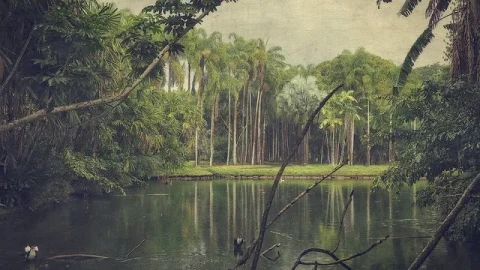 Jardim Botânico Sir Seewoosagur Ramgoolam