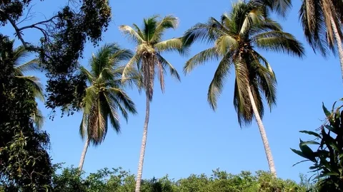 Laguna de Coyuca