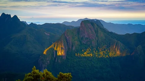 Parque Florestal Coromandel