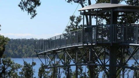 Westcoast Treetop Walk & Café