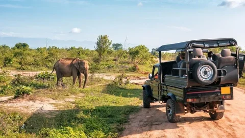 Parque Nacional Udawalawe